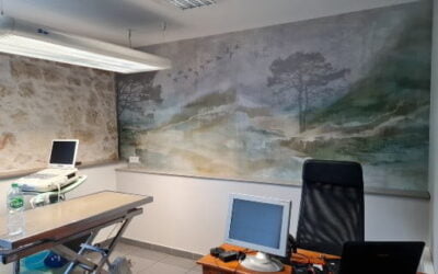 Rénovation et Peinture : Quand et Pourquoi Faire Appel à un Professionnel à Aire-sur-l&rsquo;Adour